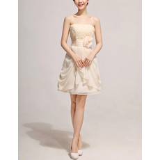 Beautiful Girls A-Line Strapless Short Chiffon Applique Homecoming Dress