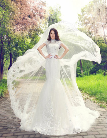 Cheap Romantic Mandarin Collar Chapel Train Organza A-Line Wedding Dress