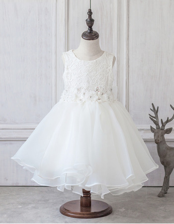 Lovely Style Ball Gown Tea Length Lace Organza Flower Girl Dress