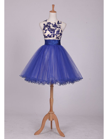 Fitted Sleeveless Short Organza Embroidery Homecoming/ Party Dress