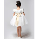 Little Girls Dresses For Wedding