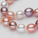 Affordable Stunning Multicolor 9 - 10mm Freshwater Drop Pearl Bracelet