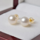 Affordable Classy White/ Pink/ Purple Freshwater Natural Pearl Earring Set