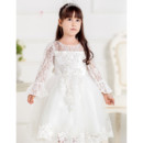 Pretty Ball Gown Short Flower Girl Princess Dress with Lace Sleeves