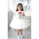 Pretty White Tulle Flower Girl Veils with Tiaras