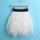 Girls' Ball Gown Pink Tulle Mini Tutus/ Skirts