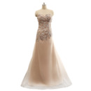 Women's Elegant Sweetheart Floor Length Organza Rhinestone Formal Evening Dress