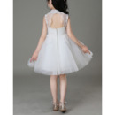 Little Girls Dresses For Wedding