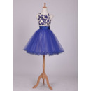 Fitted Sleeveless Short Organza Embroidery Homecoming/ Party Dress