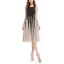 A-Line Knee Length Tulle Insert Skirt Ombre Homecoming Dress